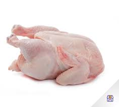 Ayam Boiler