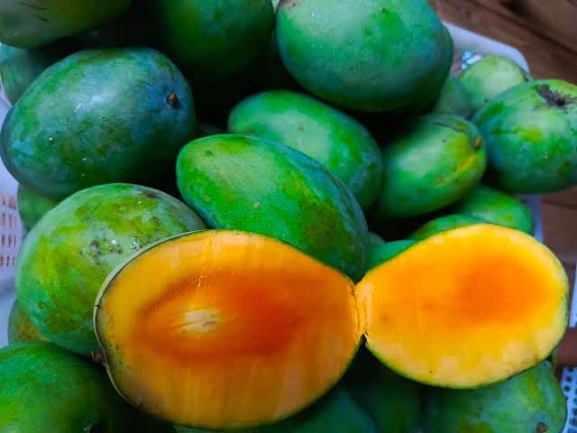 MANGGA HARUM MANIS