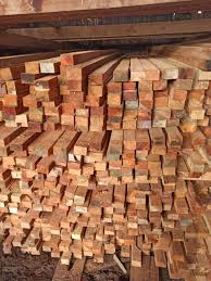 KAYU BROTI