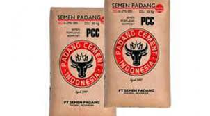 SEMEN PC
