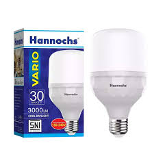Bola lampu LED 30