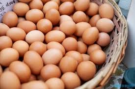 Telur