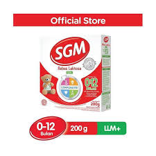 SGM LLM