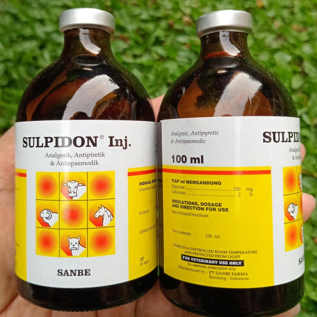 SULPIDON Inj 100 ML