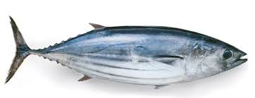 Ikan
