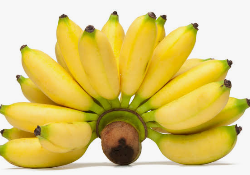 PISANG MAS