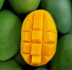 MANGGA HR