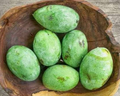 MANGGA MANALAGI