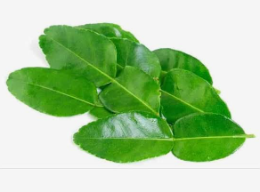 DAUN JERUK